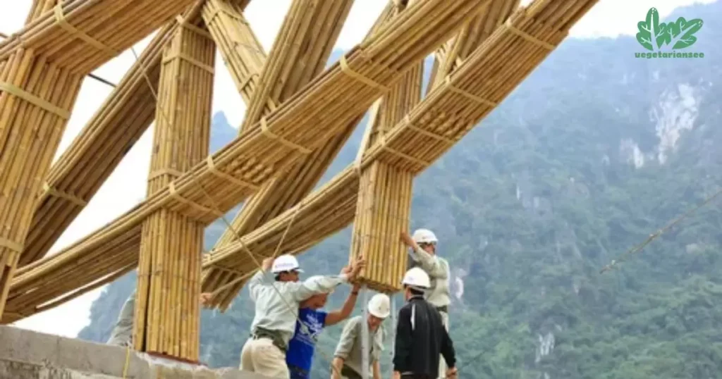 An Architects Guide To Building With Bamboo