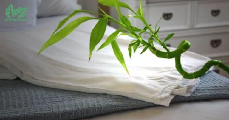 are bamboo sheets good for your skin