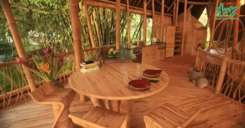 Bamboo house interior design