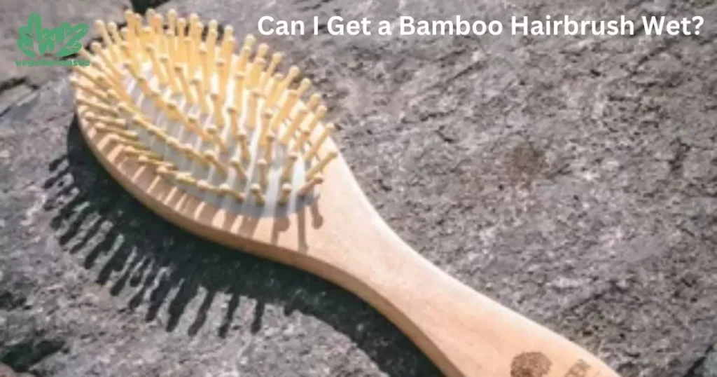 Can I Get a Bamboo Hairbrush Wet?