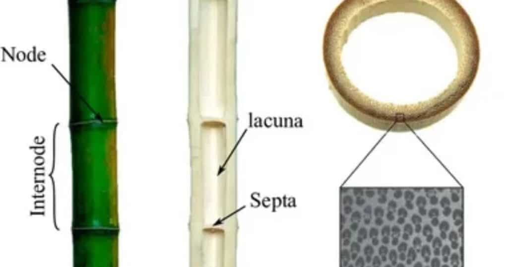 Drill Holes in Suspension Platform or Ring