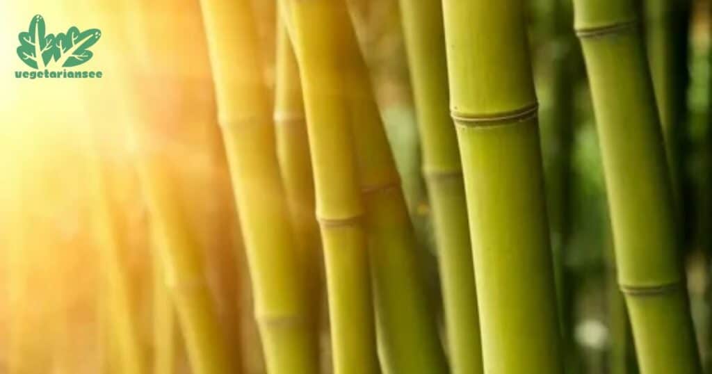 Effects Of Heat On Bamboo Fabrics