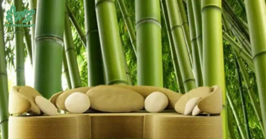 From The Bamboo Grove to Your Room