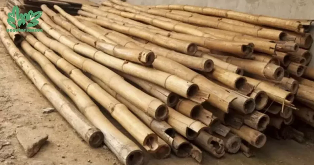 how to cut dried bamboo sticks