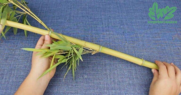 How To Make A Flute With Bamboo?