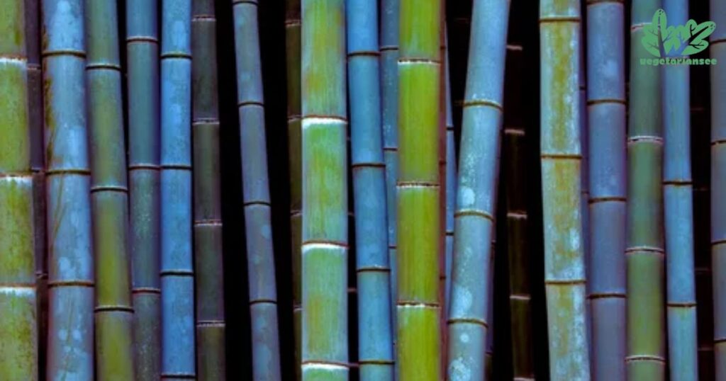 Painted or Treated Bamboo