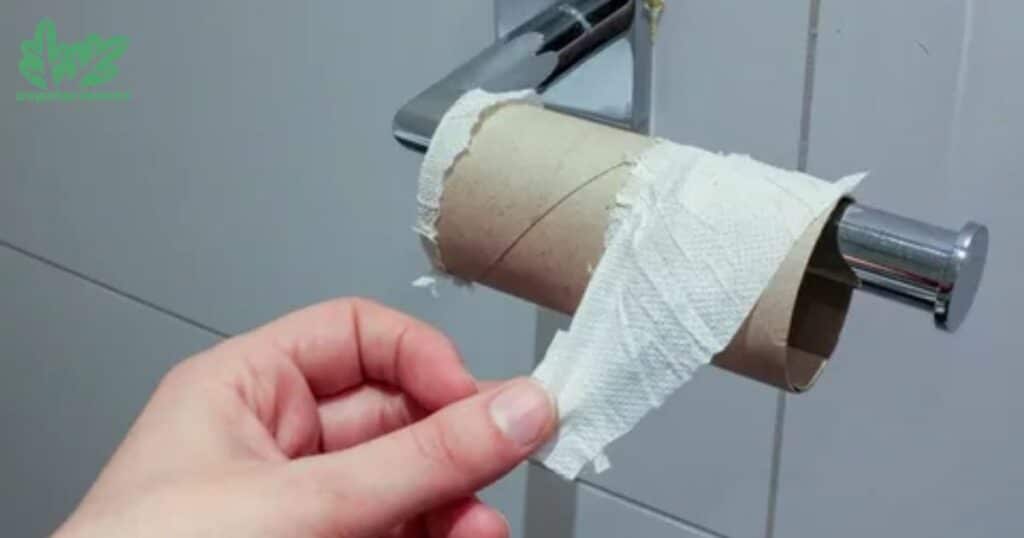 What Is The Downside Of Bamboo Toilet Paper?