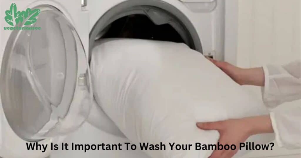 Why Is It Important To Wash Your Bamboo Pillow?