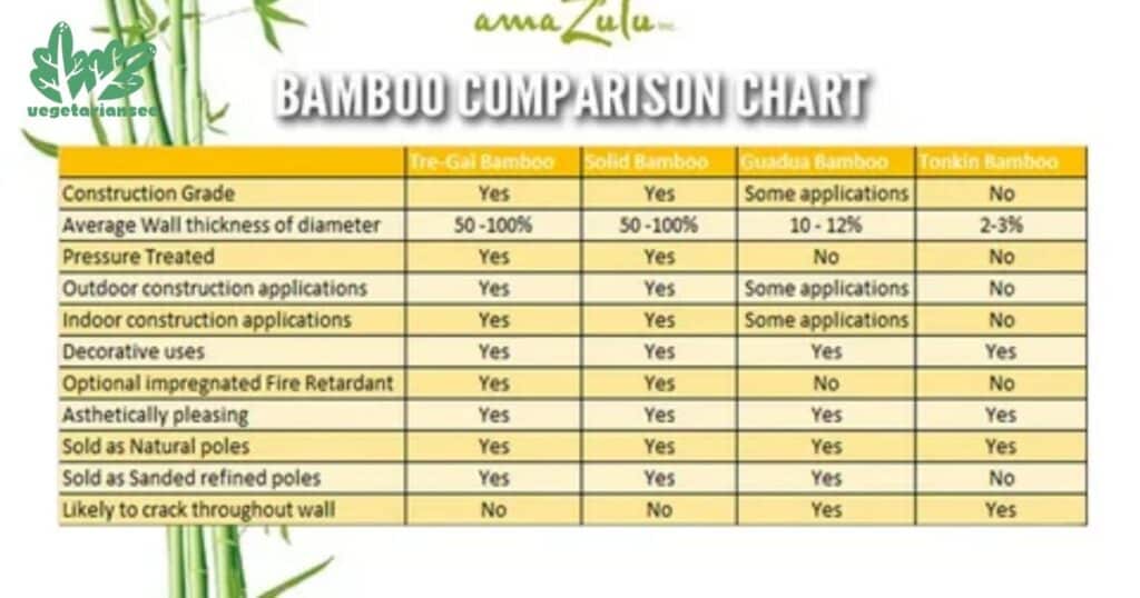 Growth Chart of Bamboo