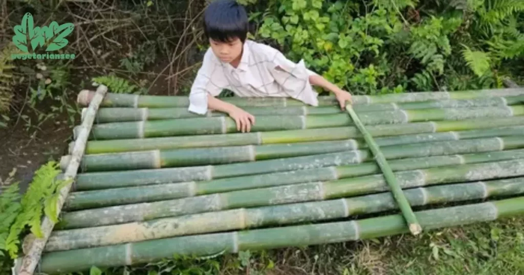 How To Prepare Bamboo?