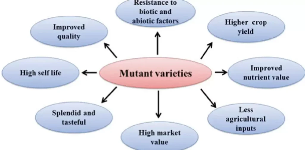 Varieties-and-Characteristics