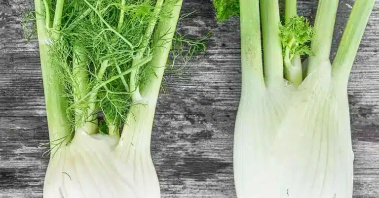 What Is Fennel and How Can I Use It
