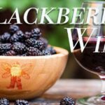 The Ultimate Blackberry Mead Recipe: A Complete Guide to Crafting Sweet Summer Wine