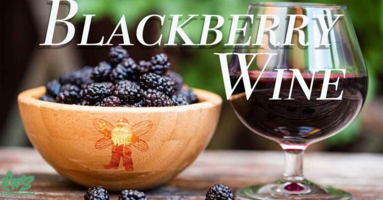 The Ultimate Blackberry Mead Recipe: A Complete Guide to Crafting Sweet Summer Wine