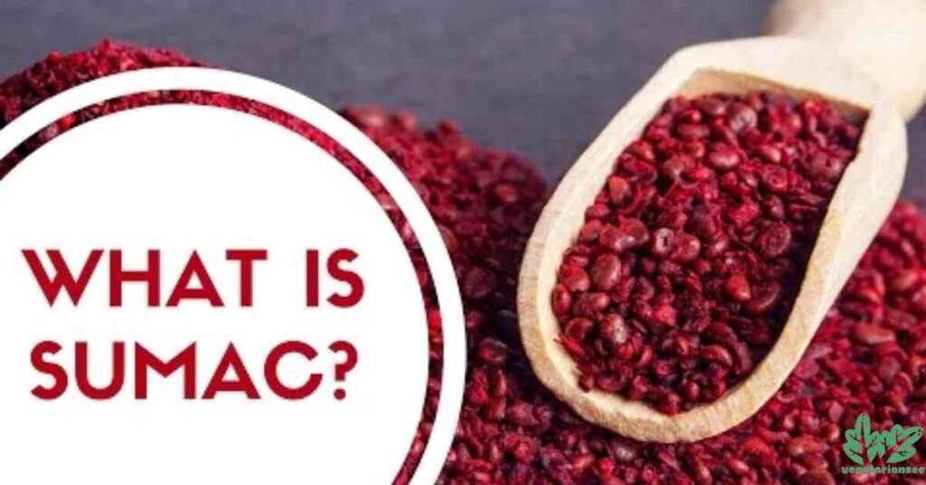 What is Sumac? The Star Ingredient 